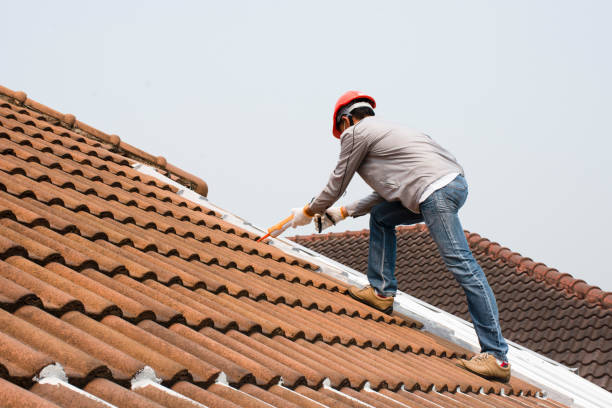 Best Roof Maintenance and Cleaning  in Beresford, SD